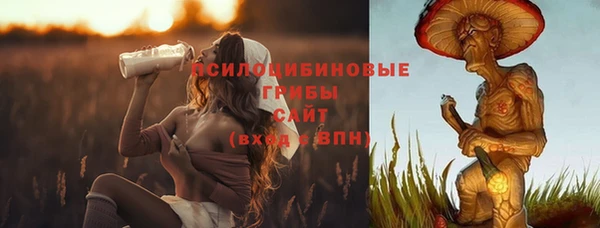 молекула духа Приозерск