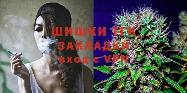молекула духа Приозерск