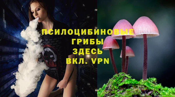 молекула духа Приозерск
