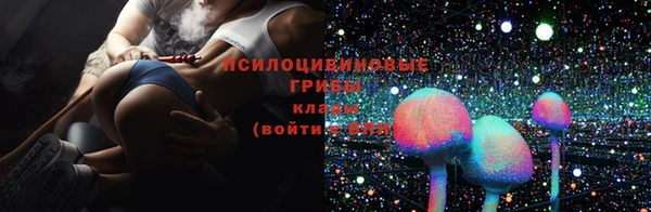 молекула духа Приозерск