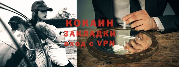 тгк Дмитров