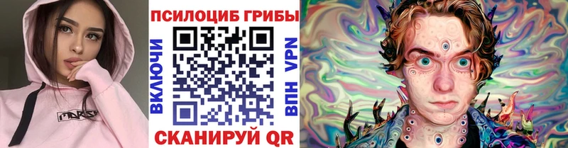 Псилоцибиновые грибы Psilocybine cubensis  Апатиты 