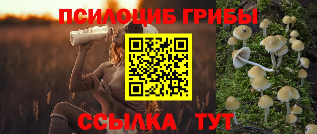 Галлюциногенные грибы Cubensis  Псилоцибиновые грибы прущие грибы  Апатиты  Вход с VPN 