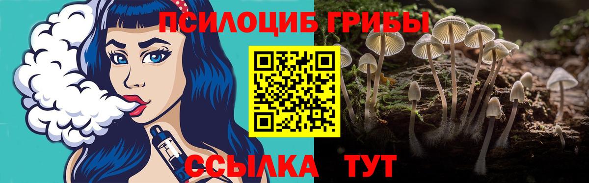 Галлюциногенные грибы мухоморы Апатиты